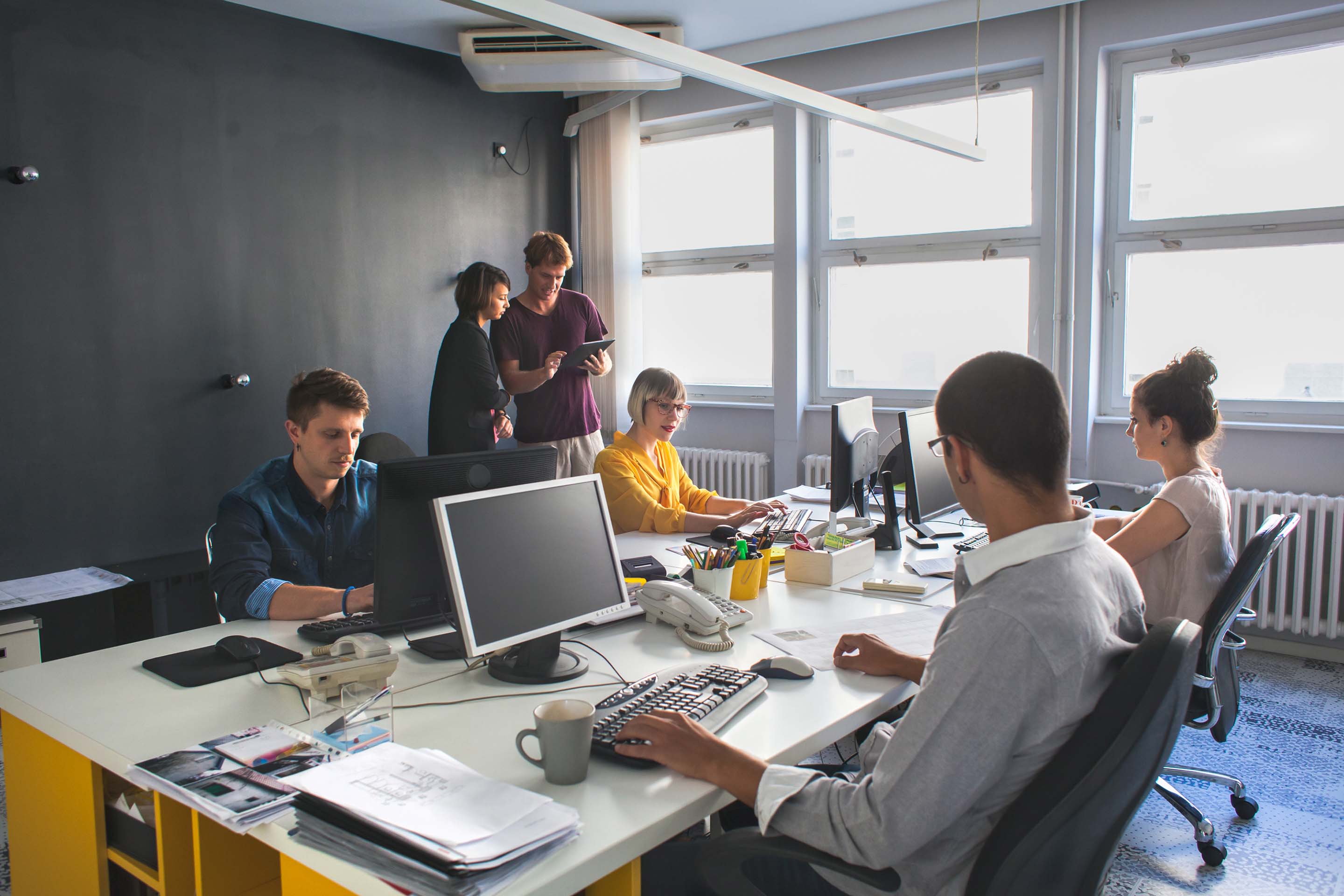 Equipo CloudTree Solutions trabajando